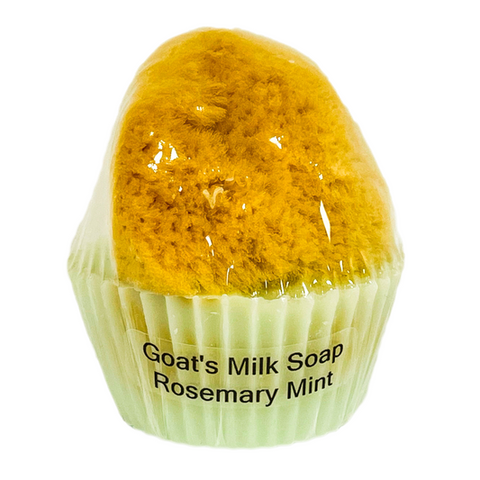Goat's Milk Cupcake Soap w/ Embedded Sea Sponge-Rosemary Mint