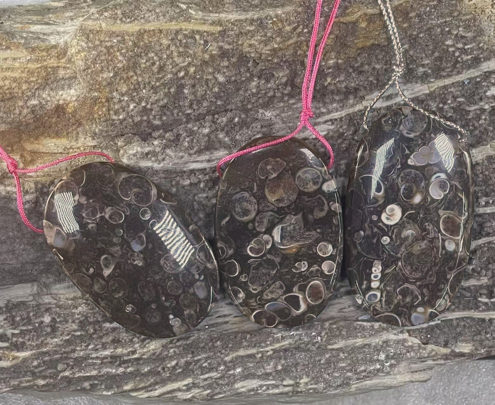 Turritella Fossil Agate, Oval Shape, Top Side Drilled, Pendant-1