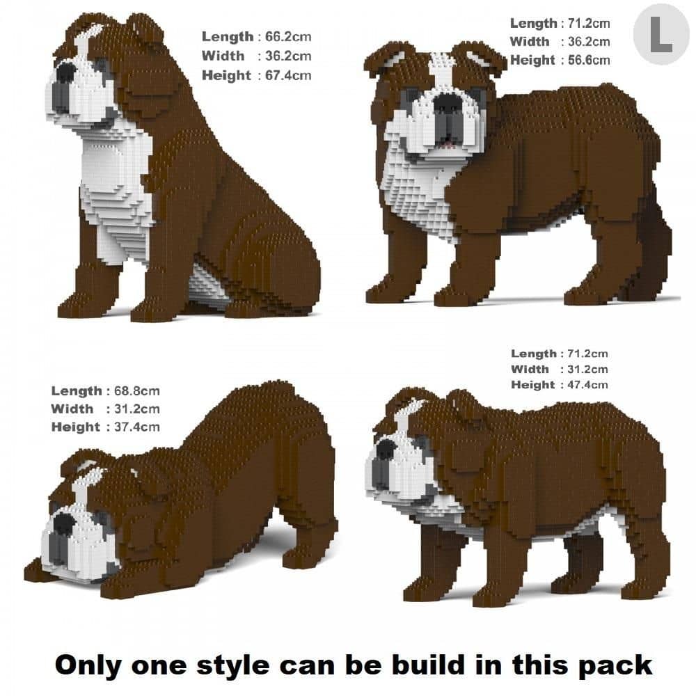 English Bulldog