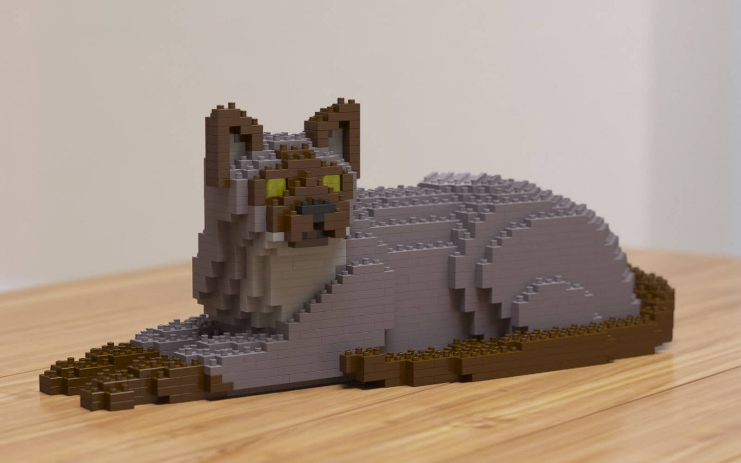 Tonkinese Cat