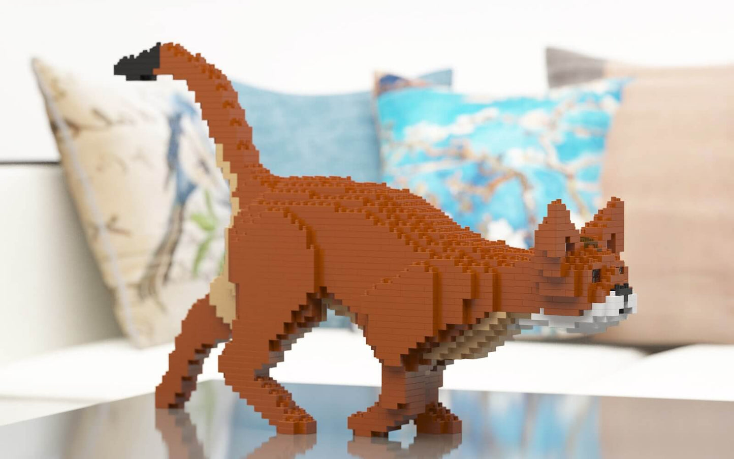 Abyssinian Cat