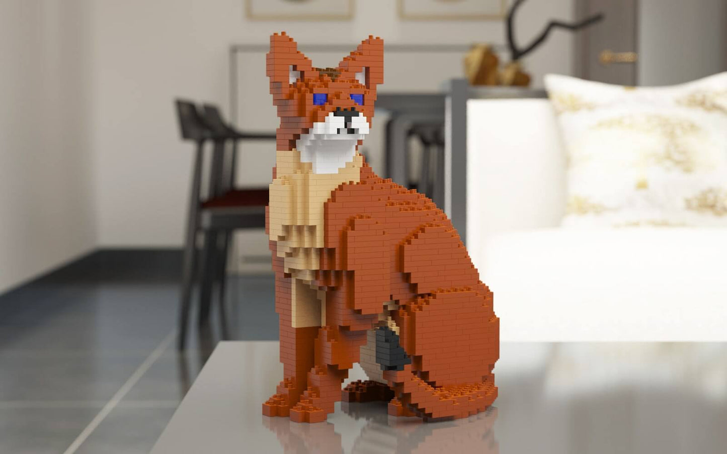 Abyssinian Cat