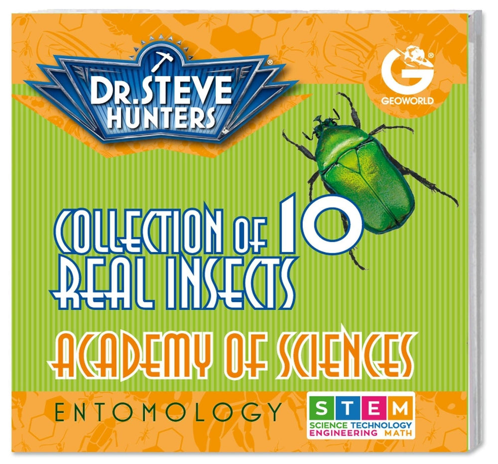 Dr. Steve Hunters Bug World Collection - 10 Real Insects Science & Education Toy Set