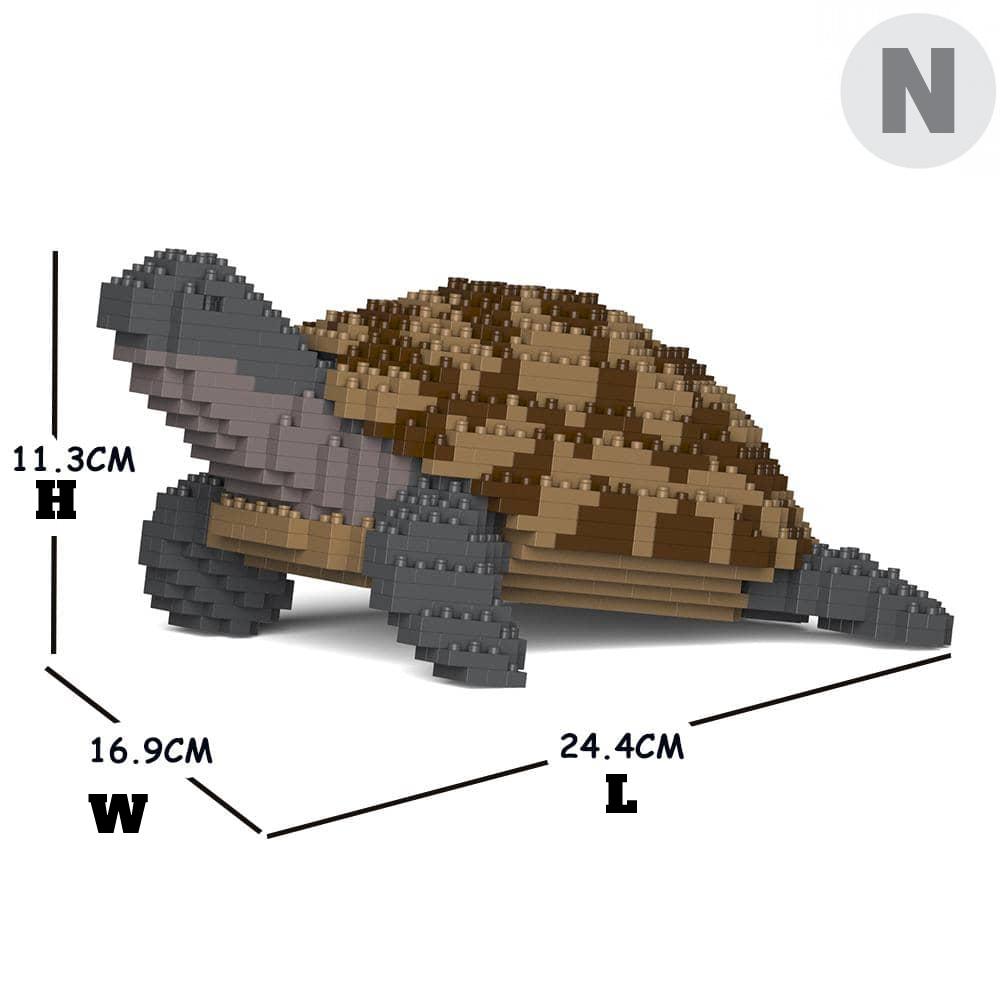 Greek Tortoise