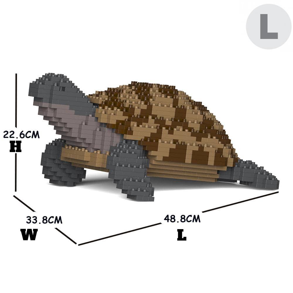 Greek Tortoise