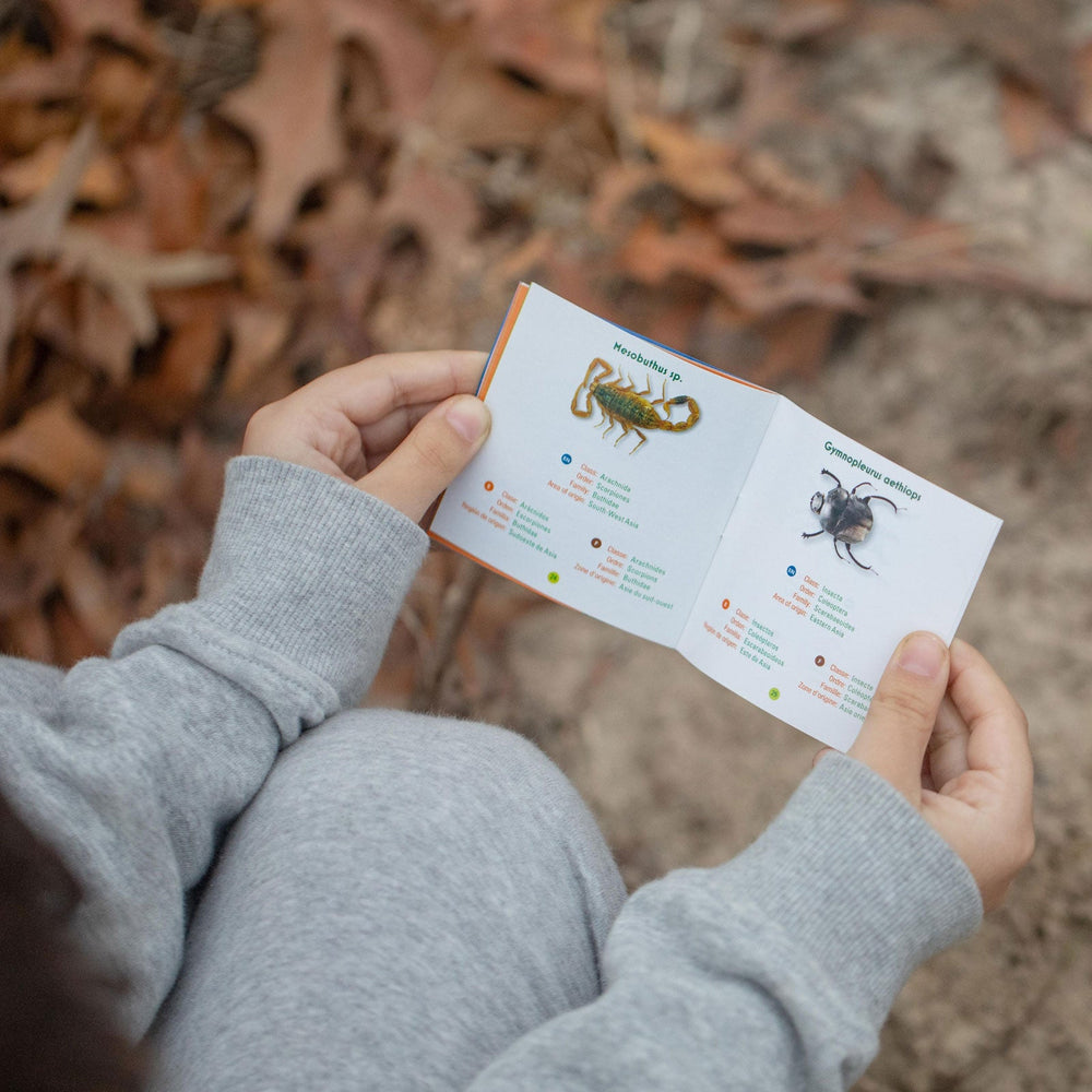 Dr. Steve Hunters Bug World Collection - 10 Real Insects Science & Education Toy Set