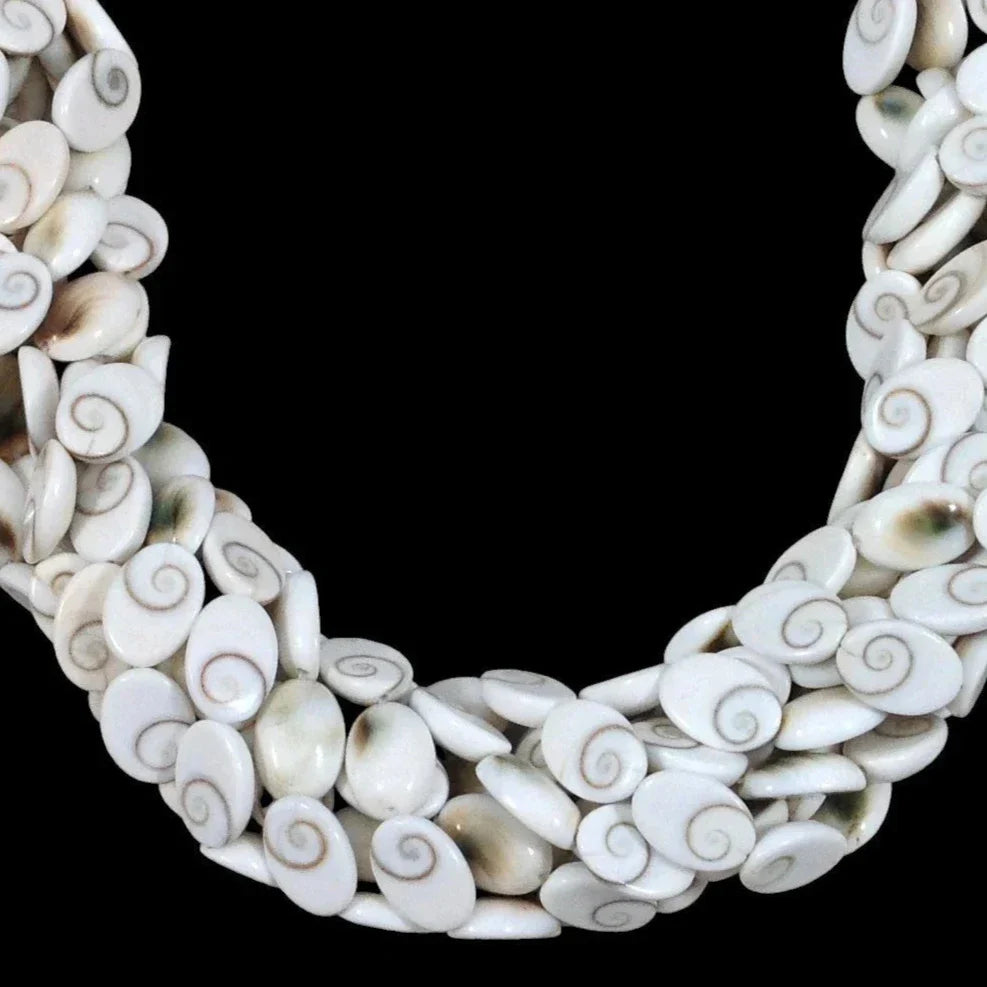 Shiva Shell, Pacific Cat's Eye Shell, Operculum, Gastropod, Oval-0