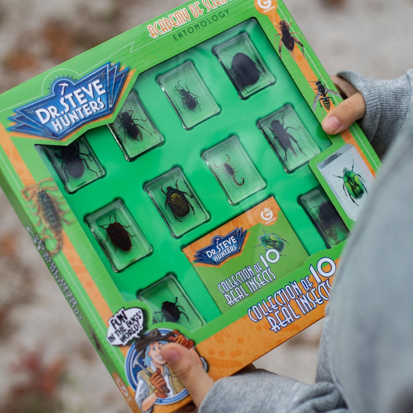 Dr. Steve Hunters Bug World Collection - 10 Real Insects Science & Education Toy Set