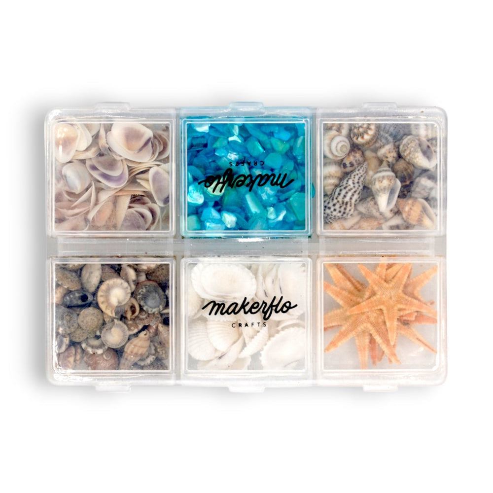 Seashell Variety Pack-1