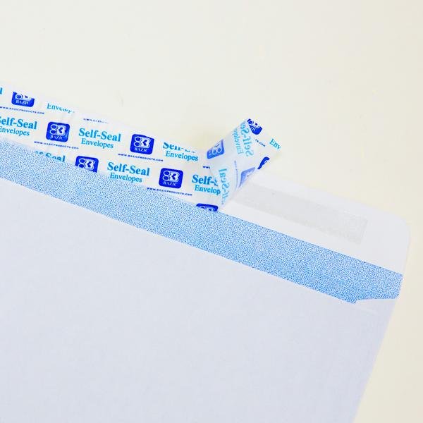#10 Self-Seal Security Envelope (30/Pack)