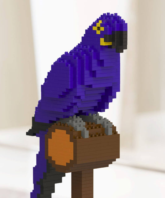 Macaw