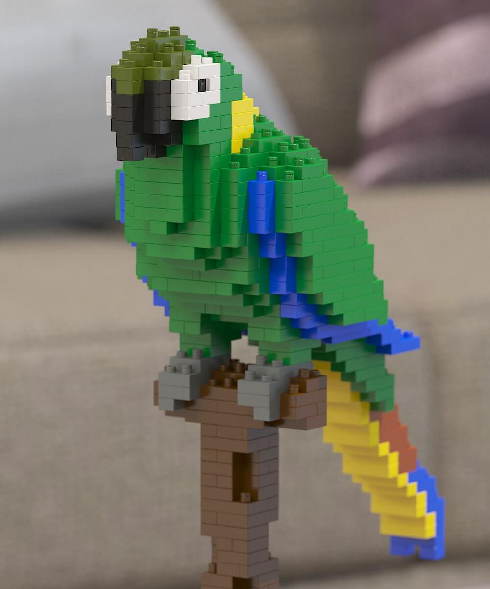 Macaw