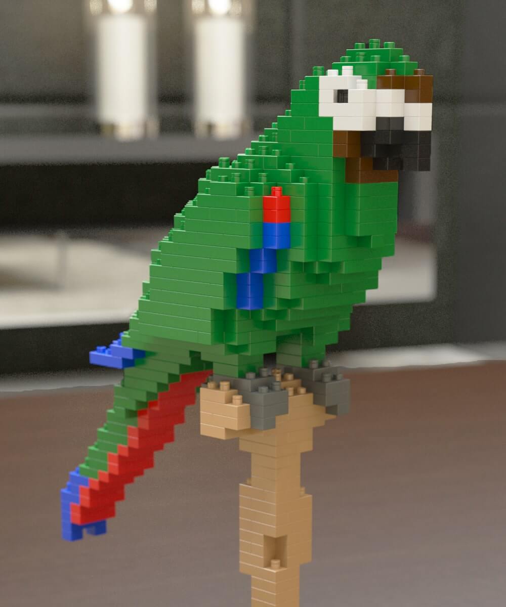 Macaw