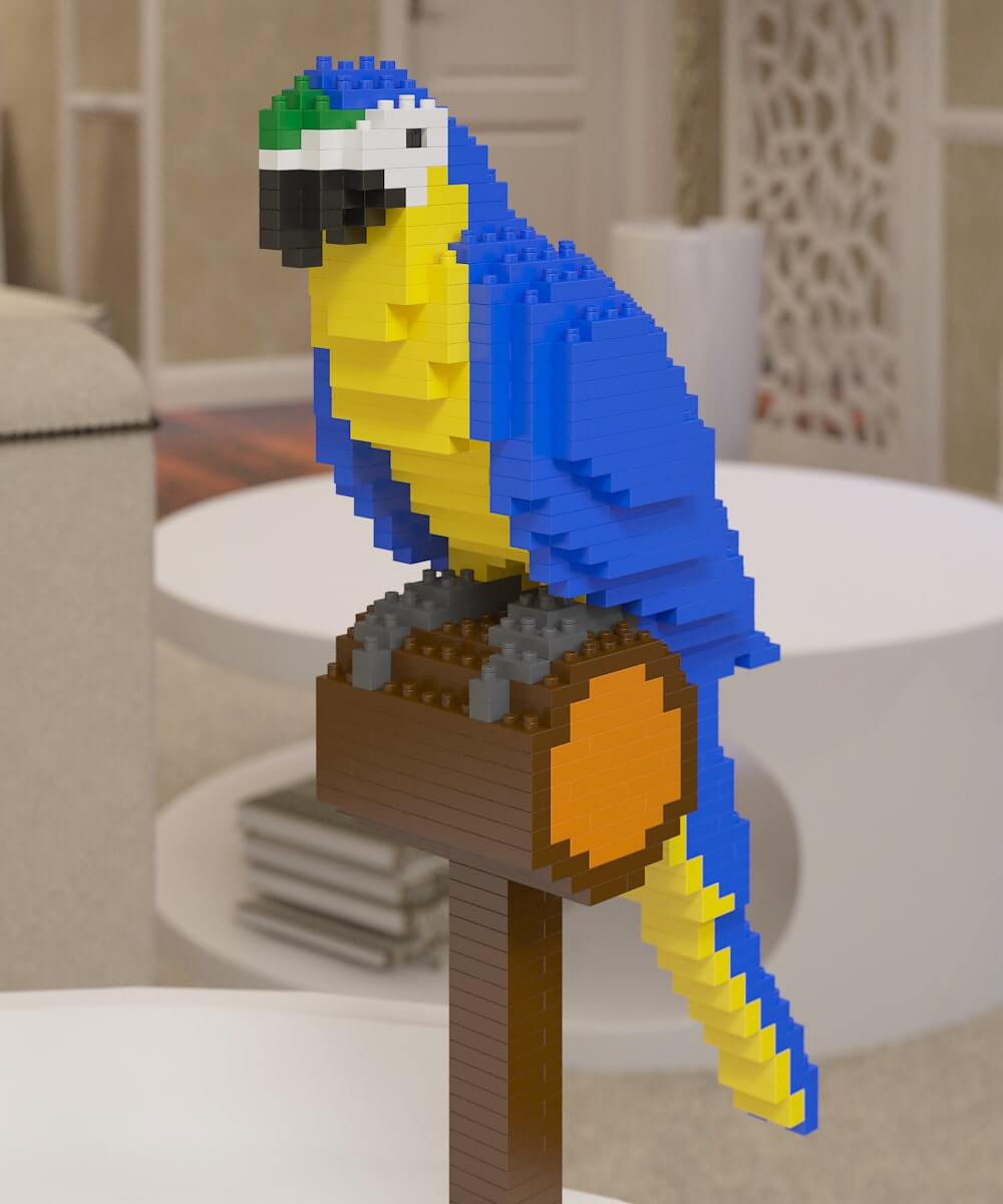 Macaw