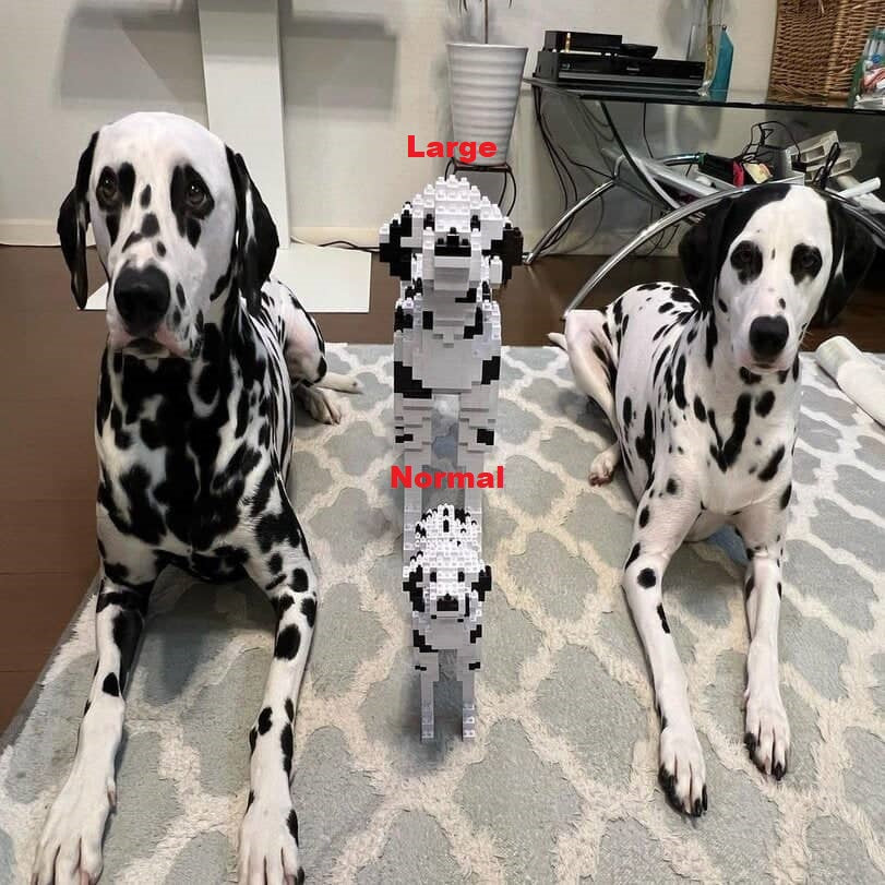 Dalmatian