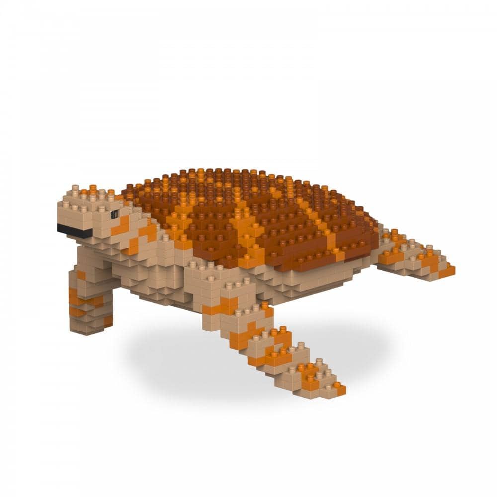 Sea Turtle