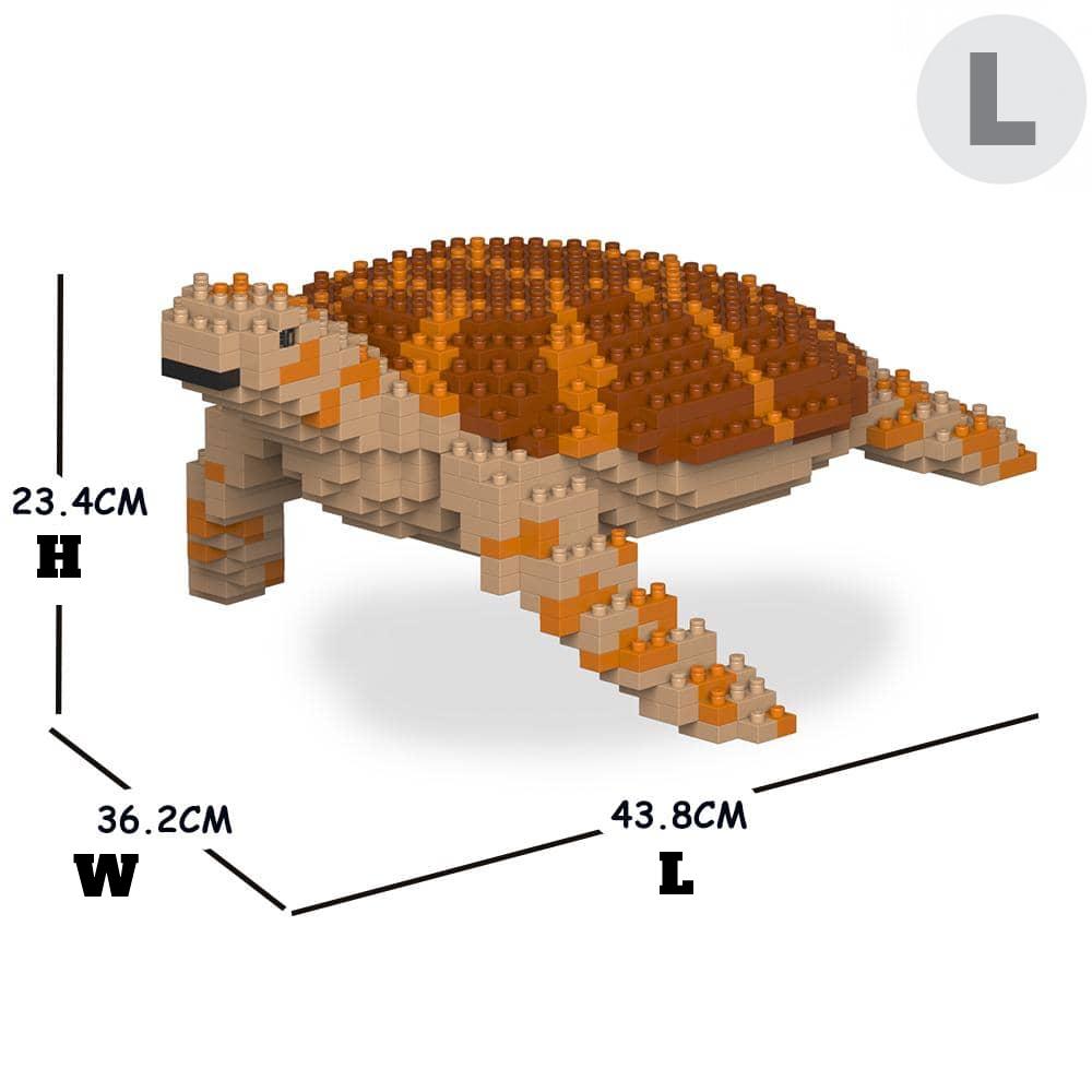 Sea Turtle