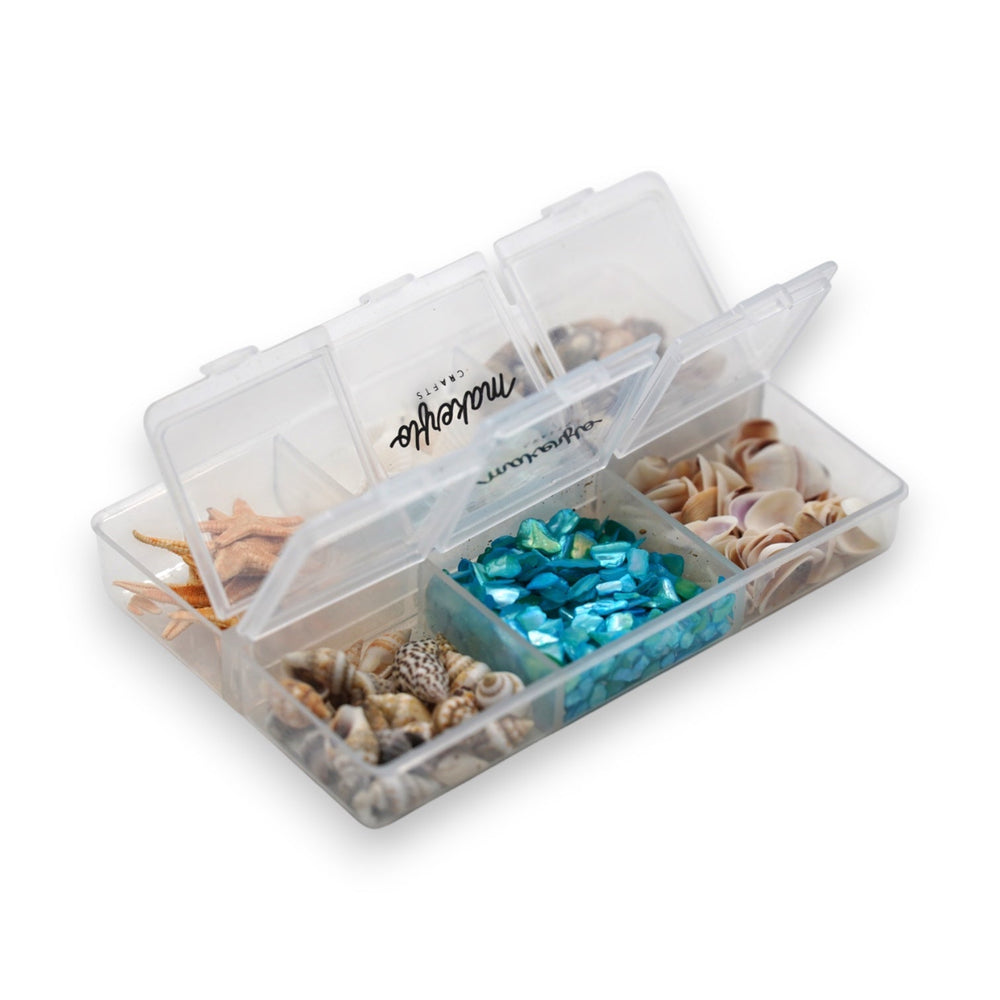Seashell Variety Pack-3