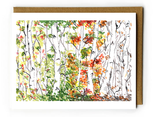 Birch Forest, Four Seasons - Blank Card