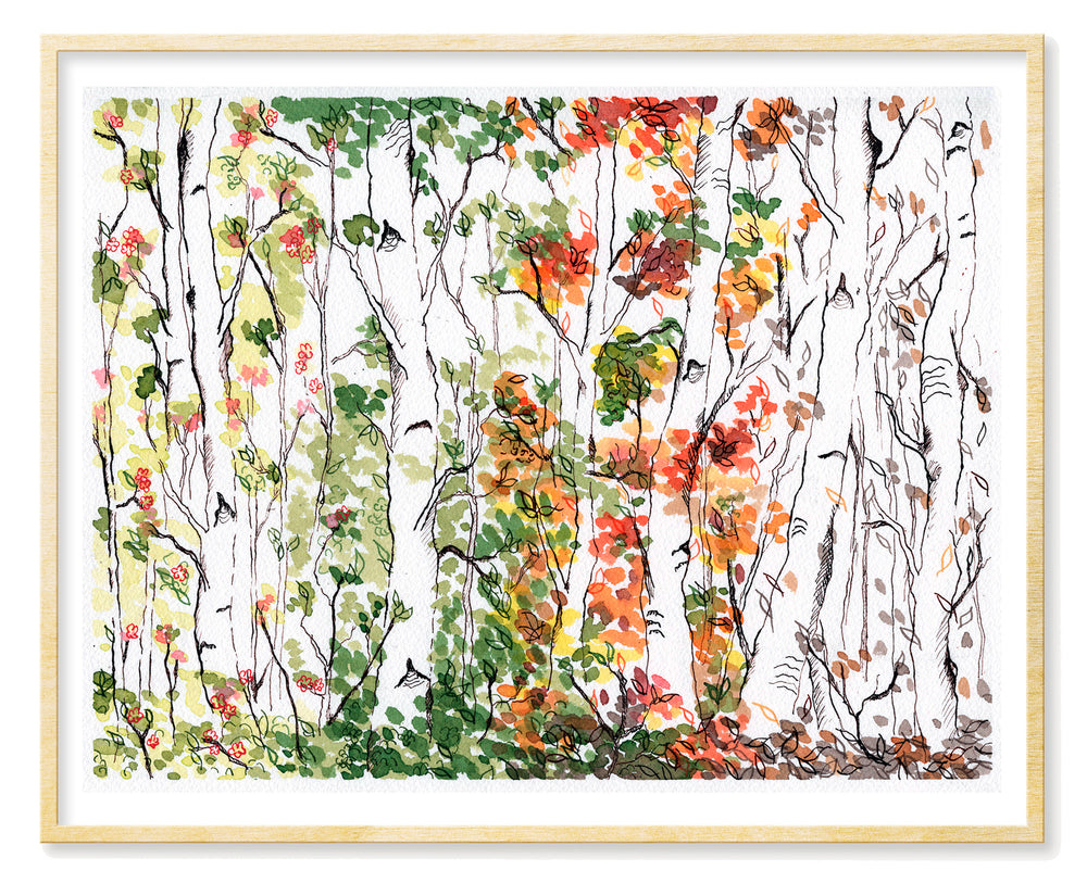 Birch Forest, Four Seasons - Print