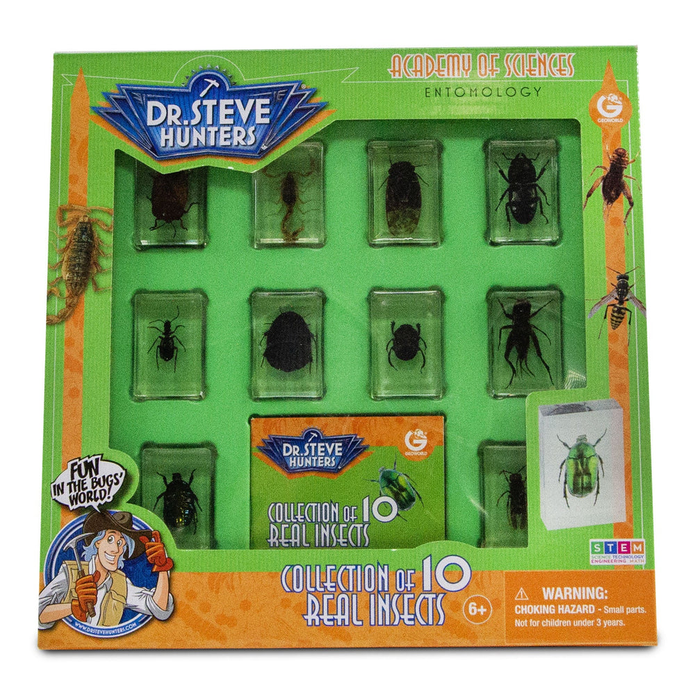 Dr. Steve Hunters Bug World Collection - 10 Real Insects Science & Education Toy Set