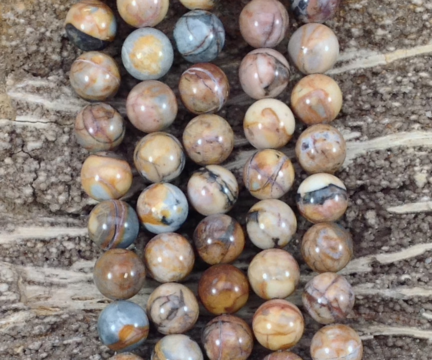 Venus Jasper Round-4